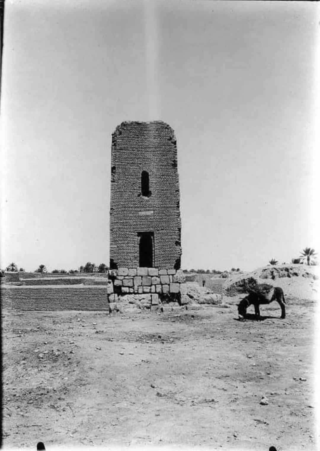 Maison De Vacances "Dar Khalifa" Tozeur Rum bild